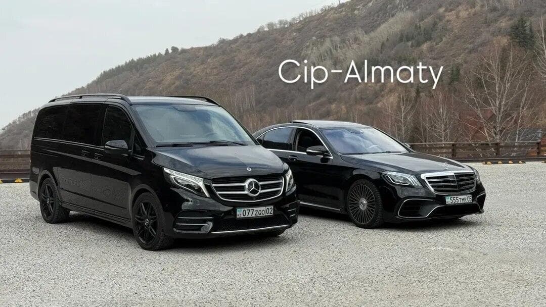 Cip-Almaty