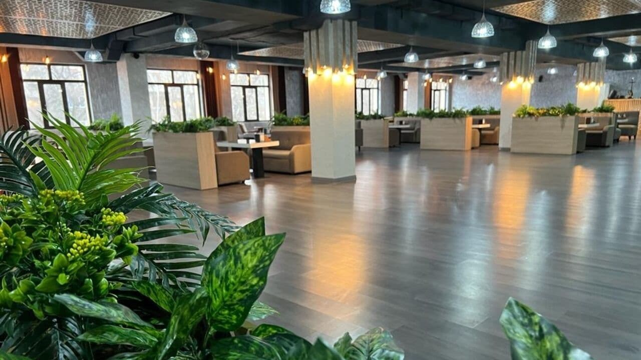 Lounge Bar