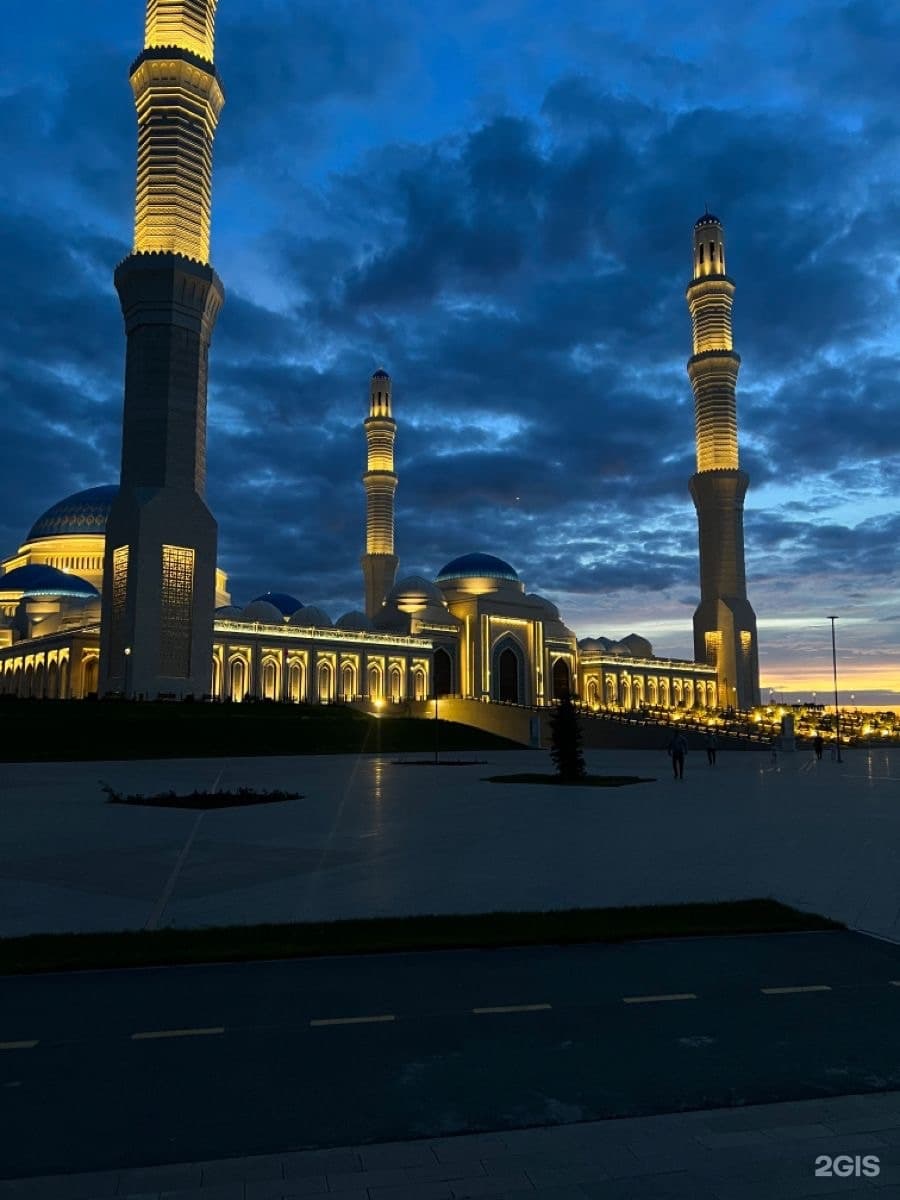 Tasnim