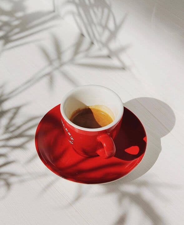Traveler`s Coffee в ТЦ Jurek Tau
