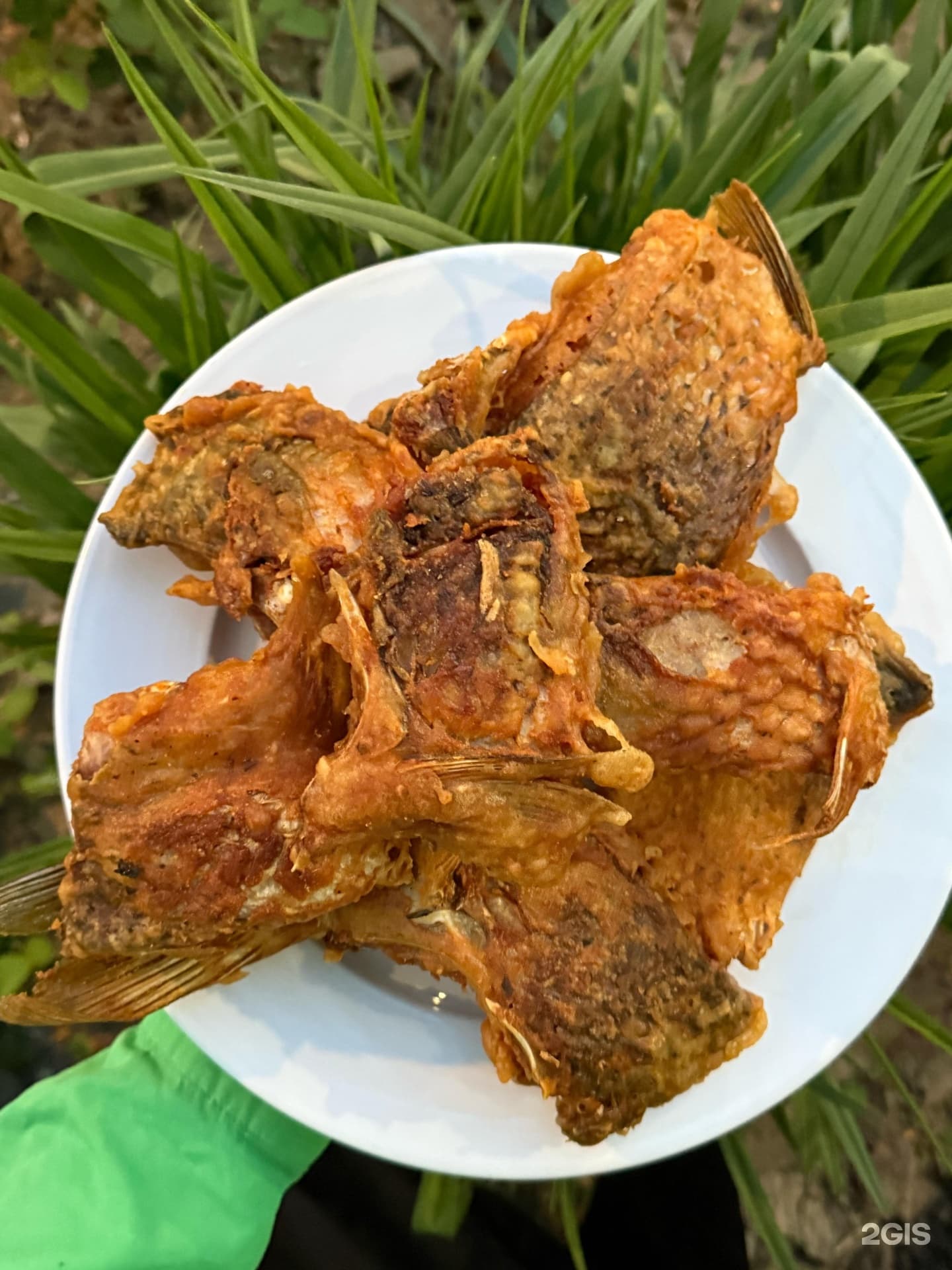 Райский сад