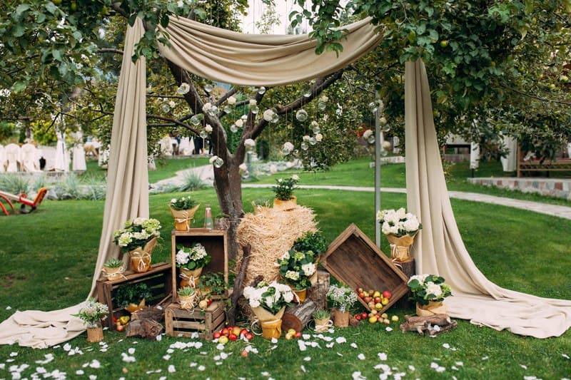 Пломбир Decor