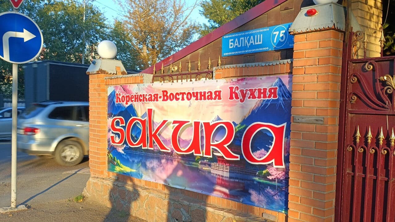 Сакура