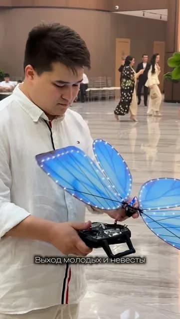 Көбелек | Живые бабочки