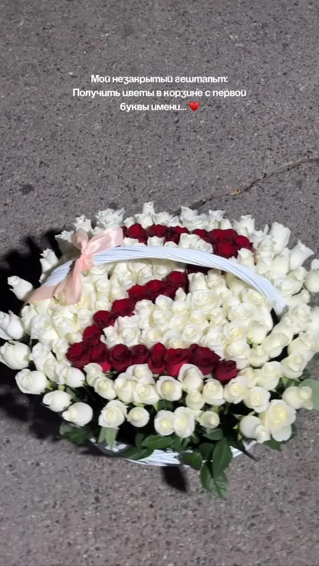 TulpanKZ