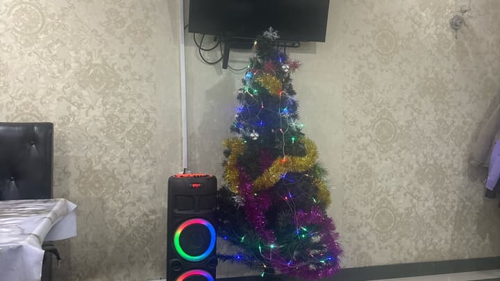 Қайсар
