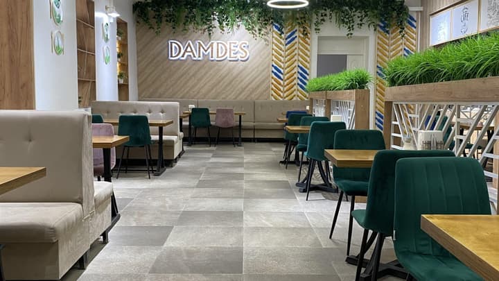 Damdes