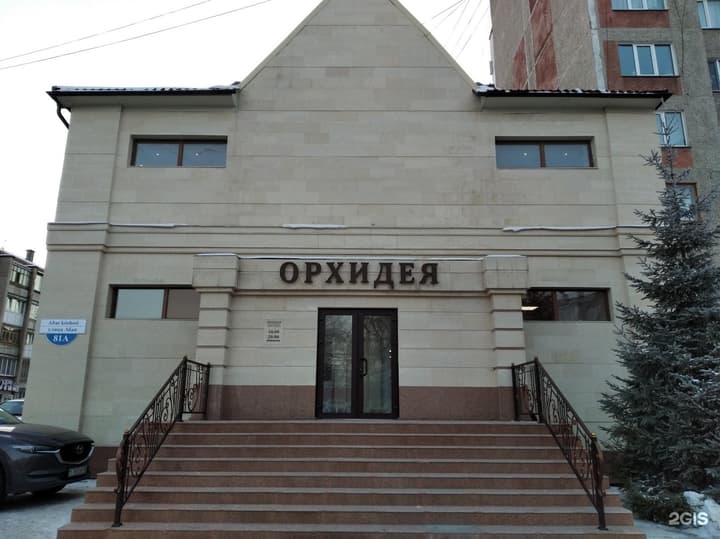 Орхидея