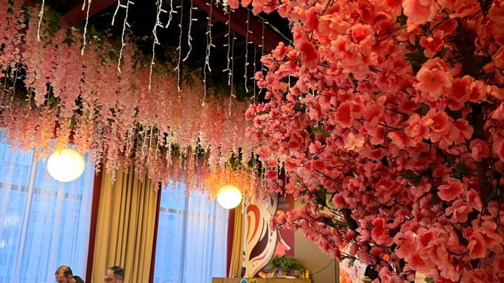 Hanami