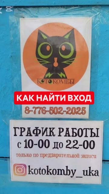 Котокомбы