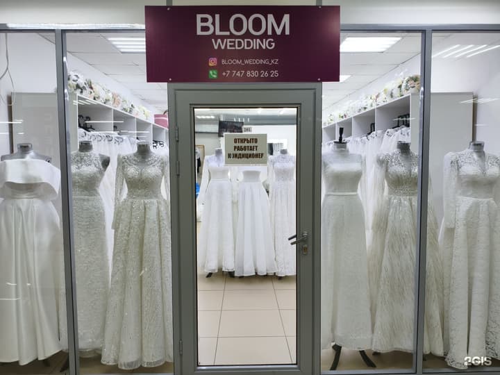 Bloom