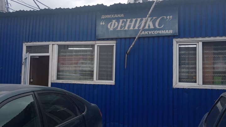 Дракон и Феникс