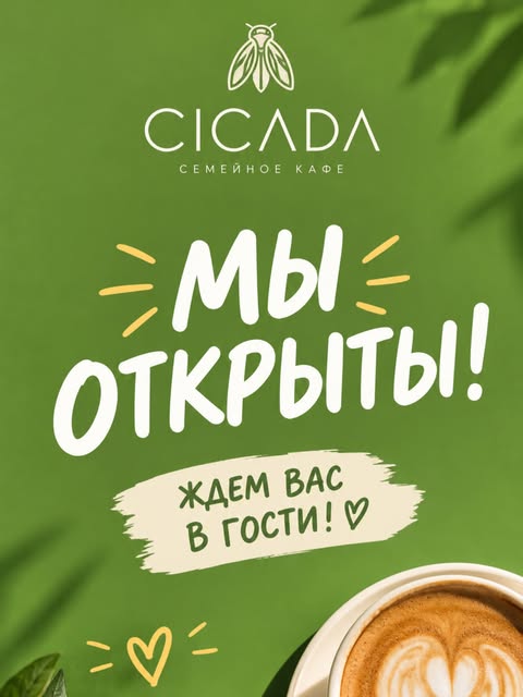 Cicada