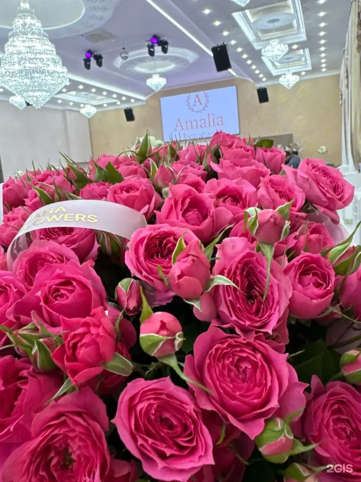 Амалия