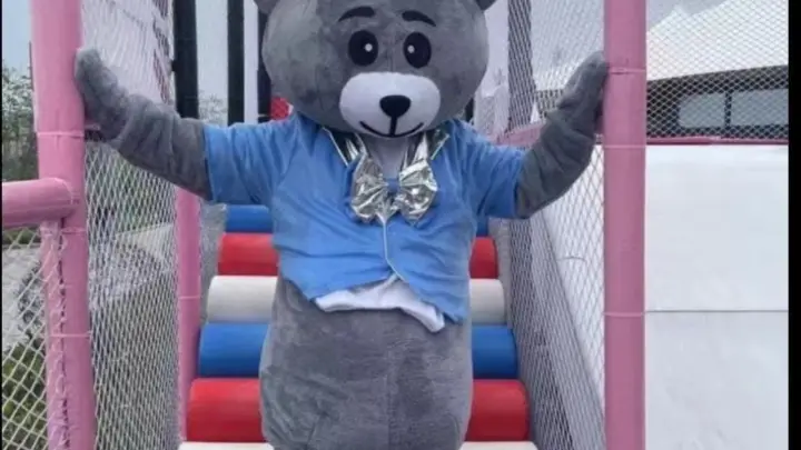 Teddy animatory